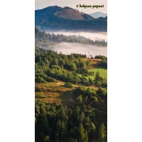 � ������ �����!