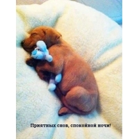 �������� ����, ��������� ����!