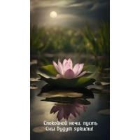 Спокойной ночи, пусть сны будут яркими!