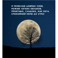 � ������� ������ ����, ������ ������ �������