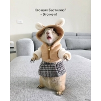   ? -   !