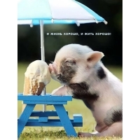   ,   !