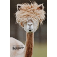 Ничего не вижу! Ничего не слышу! Никому ничего не скажу!