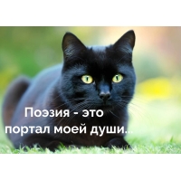 Поэзия - это портал моей души...