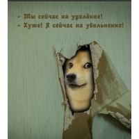 -    ! - !    !