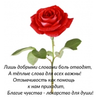 ���� ������� ������� ���� �������, � ����� ����� ��� ���� �����!