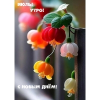 Июль! Утро! С новым днём!