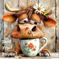 ����! ����! �������! �� ������!