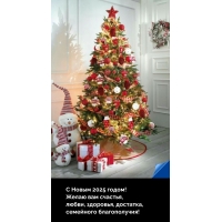 С Новым 2025 годом! Желаю вам счастья, любви, здоровья, достатка