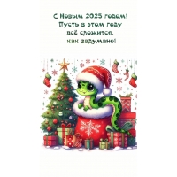 С Новым 2025 годом Пусть в этом году всё сложится, как задумано!