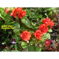 ������ ����. ��������� ���!