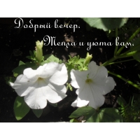 ������ �����. ����� � ���� ���.