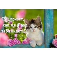 ...,      !