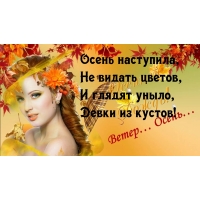 Осень наступила, не видать цветов