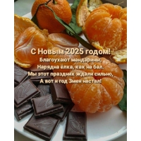  2025!  ,  ,   .
