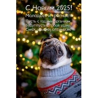   2025!       