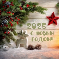 2025   !