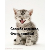  ,  !