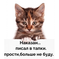 ...   . ,   .