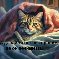     :    ?