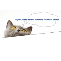 ,  ,    