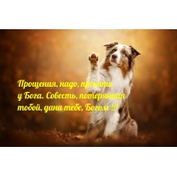 , ,   . ,  ,  , 