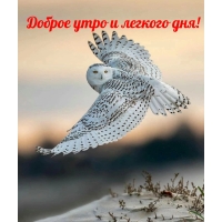 Доброе утро и легкого дня!