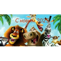   2025