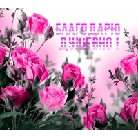  !