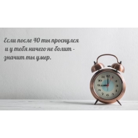 ���� ����� 40 �� ��������� � � ���� ������ �� �����