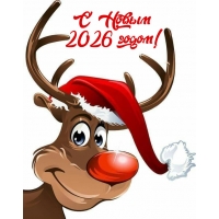 � ����� 2026 �����!