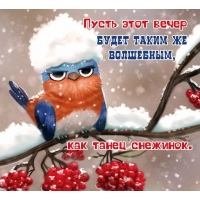 ����� ���� ����� ����� ���������