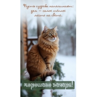 ����� ������� ����������: ��� � ����� ����� �����
