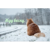 Жду весну.